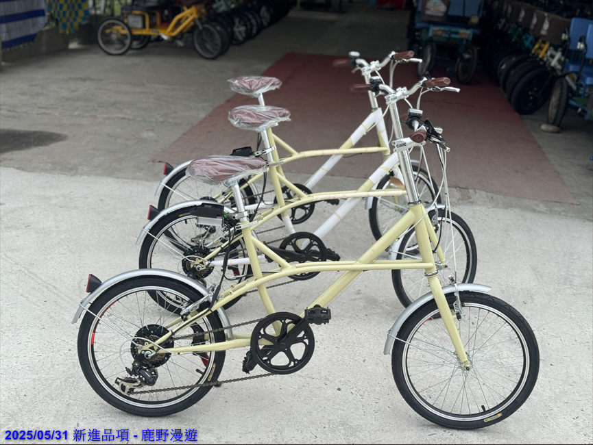 Luye Roaming Enterprise-Mini velo bike(2025-May 31 New arrival)