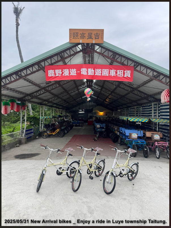 New arrival bikes for Luye traveling enterprise New arrival bikes for Luye traveling enterprise